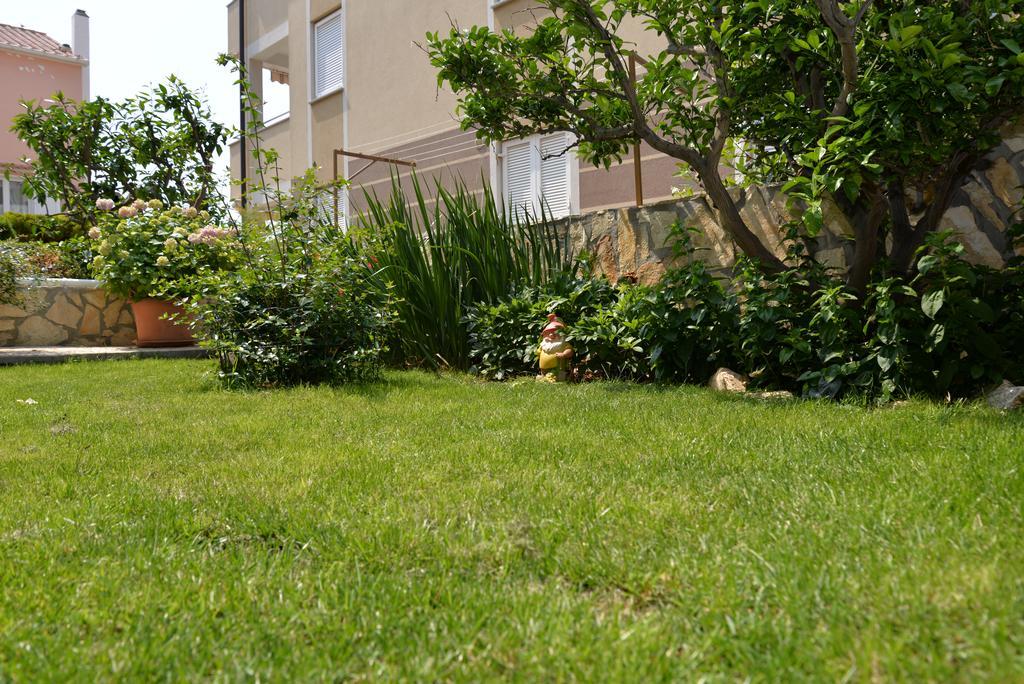 Apartments Cvito نوفاليا المظهر الخارجي الصورة